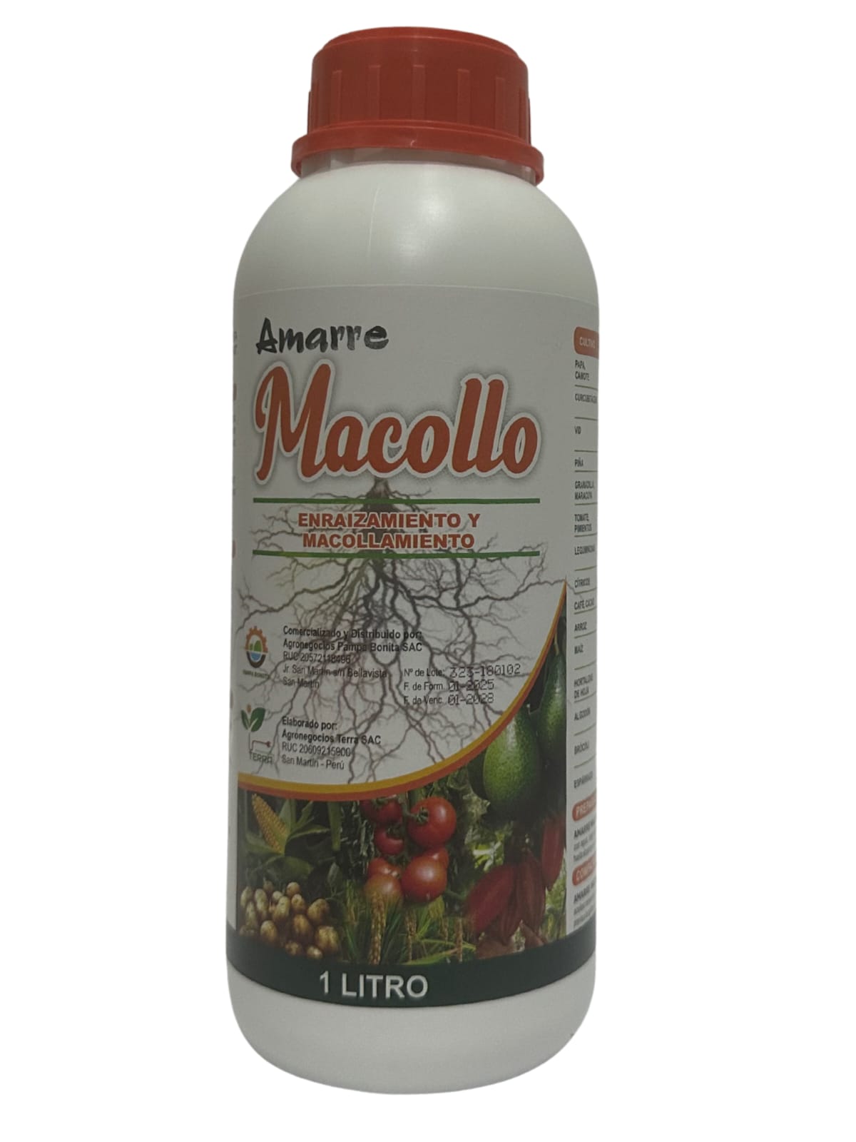 AMARRE MACOLLO