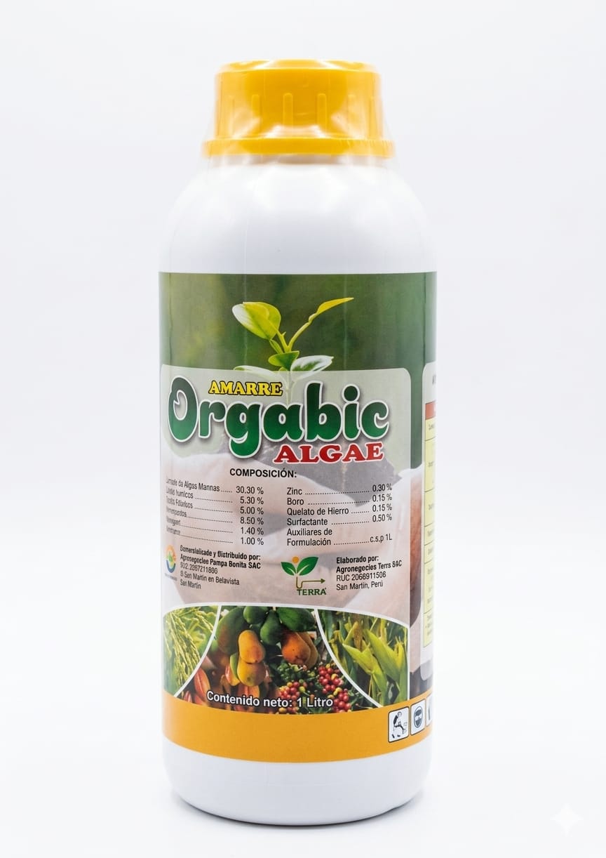 AMARRE ORGABIC ALGAE