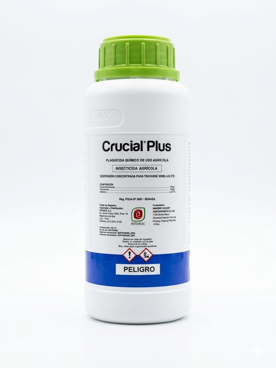 CRUCIAL PLUS